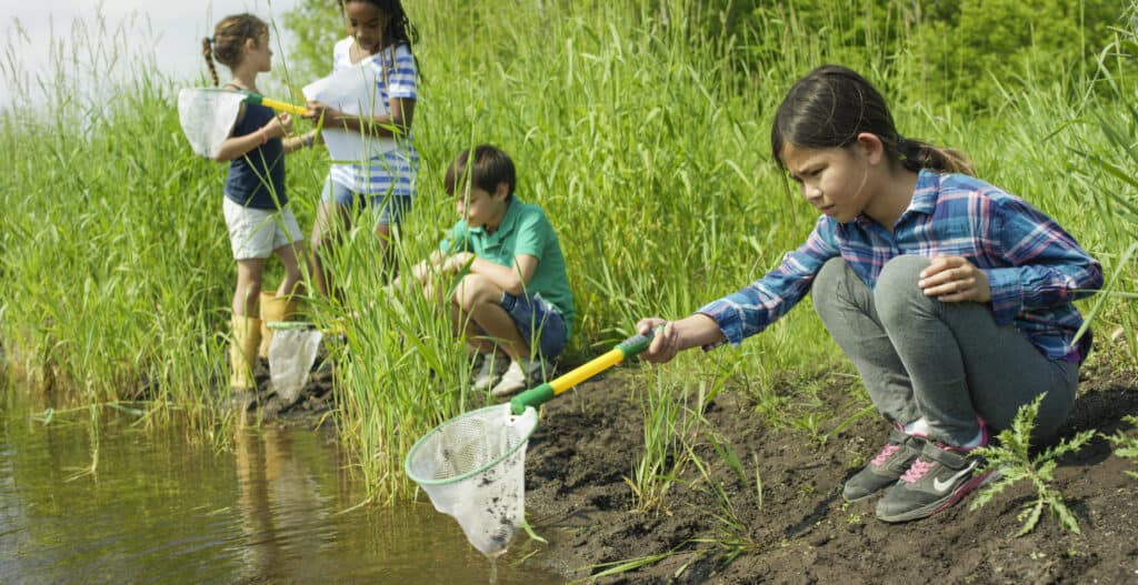 A group of school children are on a school science trip to a pond outdoors. Here they use nets to catch bugs